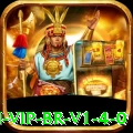 33nn VIP BR v1.4.0