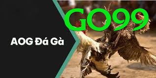 Đá Gà Trực Tiếp - go99 - Pre-register
